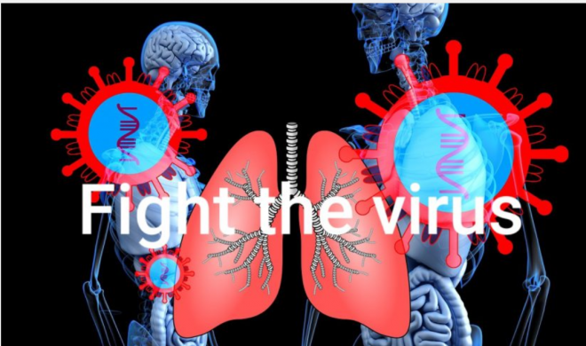 How to Fight the virus
